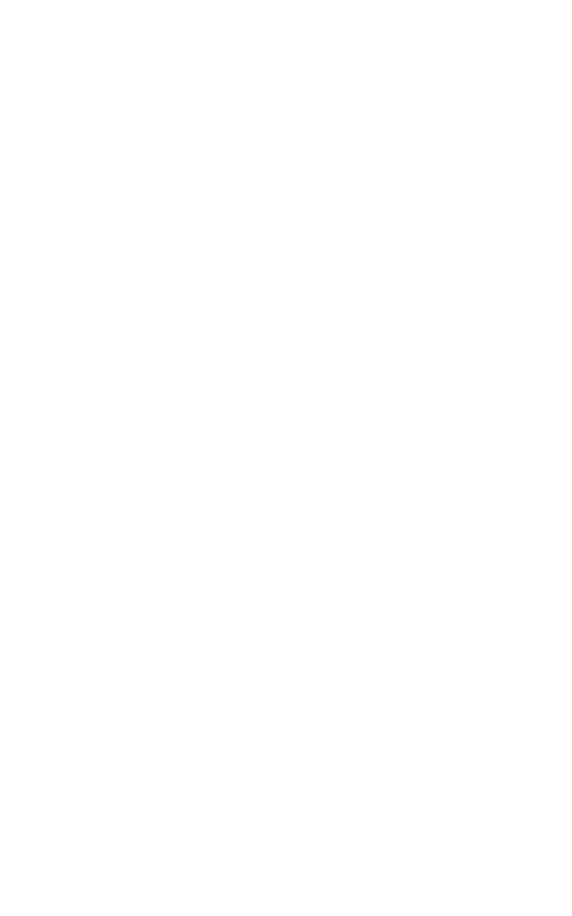 Stranger Wines logo
